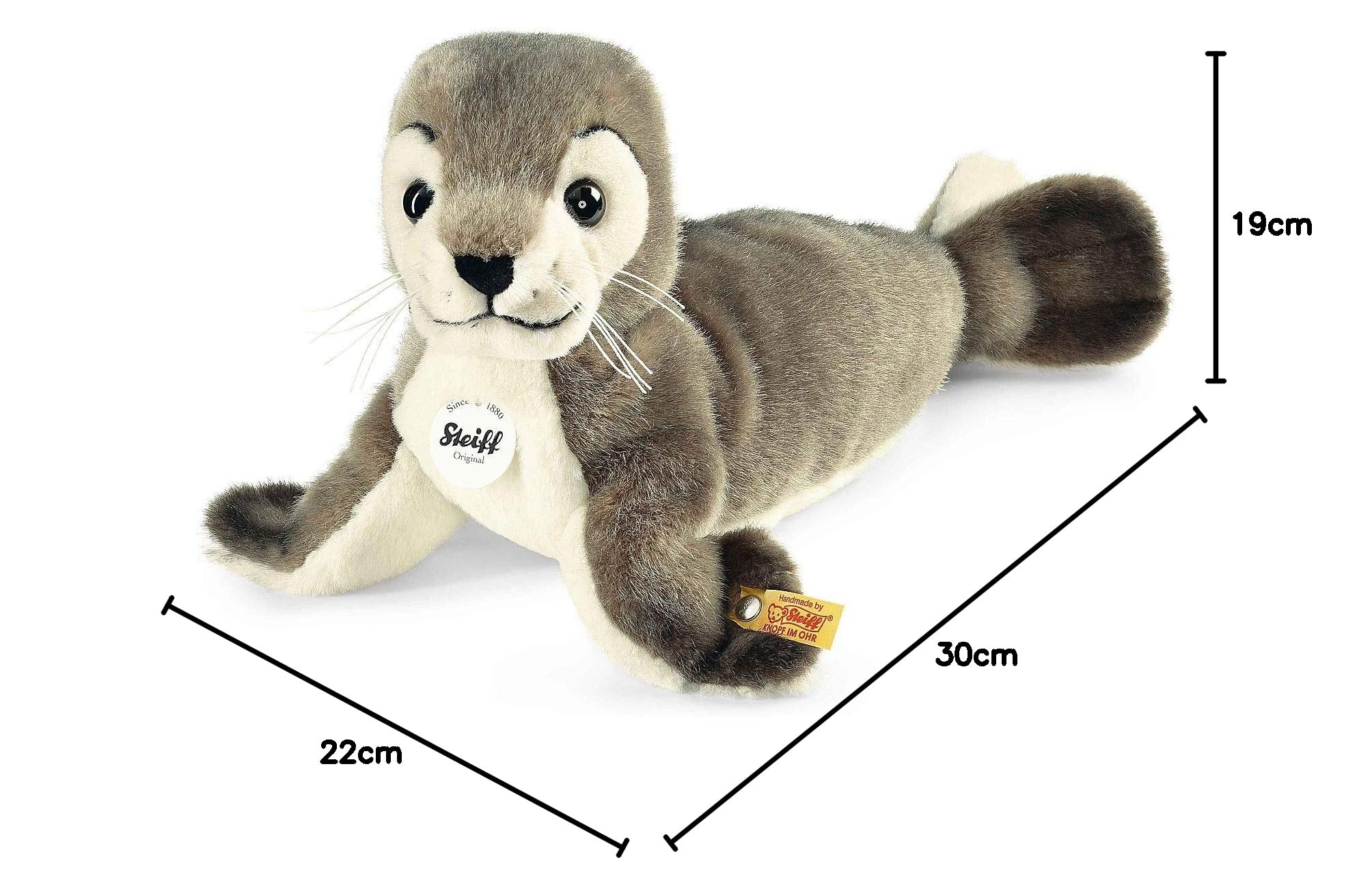 Amazon.co.jp: アシカのロビー 30cm ぬいぐるみ : おもちゃ